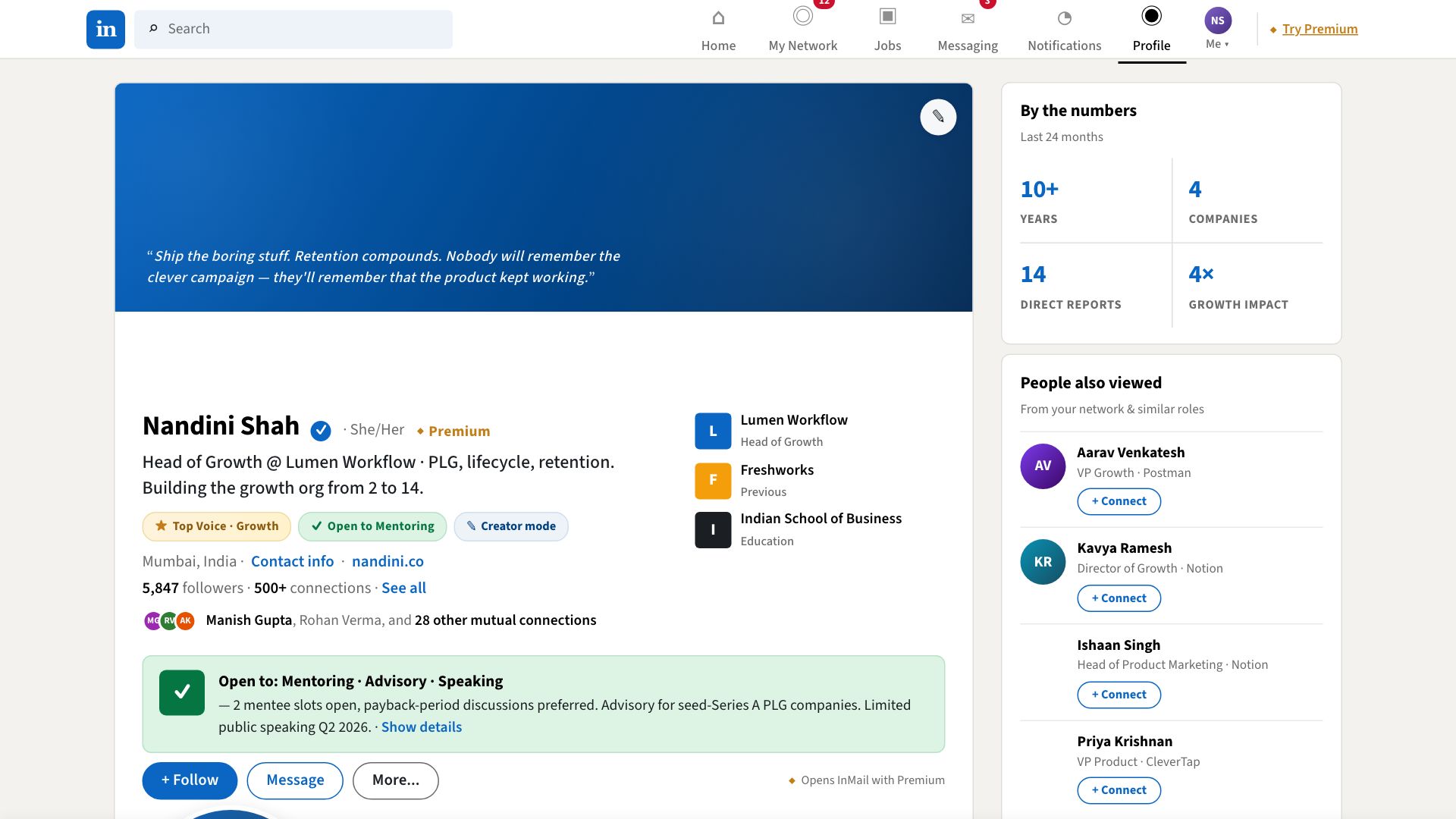 LinkedIn Pro template preview